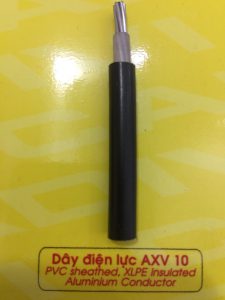 ĐẠI LÝ CẤP 1 DÂY CÁP ĐIỆN CADIVI TẠI QUẢNG BÌNH