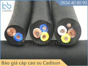 bao gia cap cao su moi nhat 2022