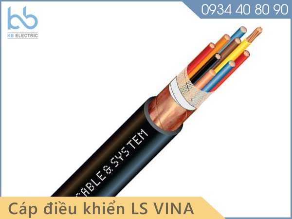 cap dieu khien lsvina